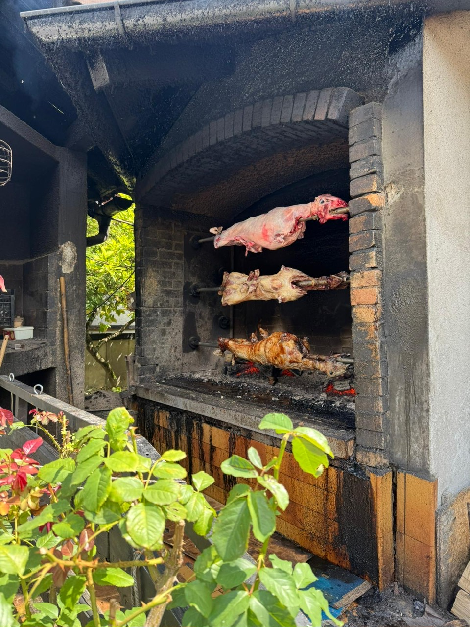 Unexpected Delays on the Road to Zadar: A Travel Story